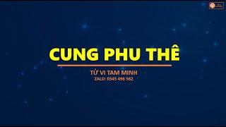 104- CUNG PHU THÊ TRONG LÁ SỐ TỬ VI| CUNG CHỨC| TỬ VI TAM MINH