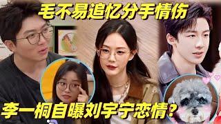 娱乐圈TOP级恋爱脑！李一桐爆刘宇宁狗届虐恋？毛不易回忆分手黯然神伤 | 毛雪汪 | 李雪琴 | 综艺show