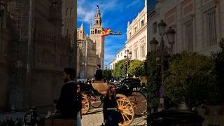 The Magical Birthplace of FlamencoSEVILLE  City Walking Tour  #andalucia #travel #spain