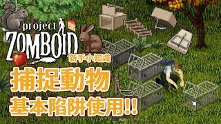 【新手小知識】野外生存 利用陷阱捕捉野生動物基本說明! 獸迷 Project Zomboid 殭屍毀滅工程【獸人PNGtuber／咖蛋】 Furry 陷阱技能獲取更多食物