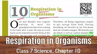 Class 7 Science Chapter 10 | NCERT | Respiration in Organisms