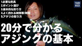 20分で全部分かるアジングの基本。プロが時期・釣り場選び・釣り方まで徹底的にレクチャーします。