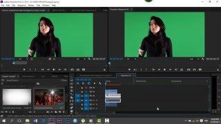 Cara Edit Green Screen di Adobe Premiere Pro
