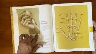 Full Book Review : Classic Human Anatomy: The Artist's Guide to Form, Function, and Movement