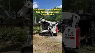 Kenny's Tree Removal Fuquay Varina - Watch Us Remove over a 100 ft Row of trees.