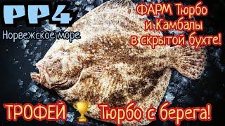 РР4. Норвежское море. ФАРМ Камбалы и Трофей Тюрбо! в скрытой бухте с берега! 2000 серы за стрим!