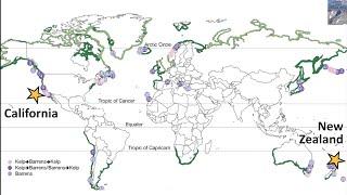 Resilience in large ecosystems