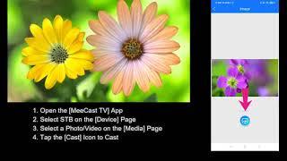 Montage STB with MeeCast on Android Mobile Phone (DVB-S2/T2/C)