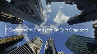 8 Government Grants for SMEs in Singapore | Bevootech