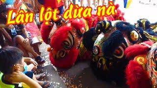 Múa lân lột dừa cúng Ông Bổn 2020 / lion dance 2020 | Ntkhang Vlog(clip gốc)