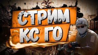 Борюсь за вас в CS GO