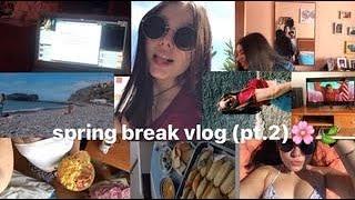 SPRING BREAK VLOG(pt.2)