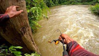 SANGAT KEJAM ASAL DI TAROH LANGSUNG DI HAJAR || MANCING IKAN HAMPALA DI SUNGAI KERUH