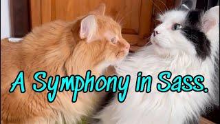 A Symphony in Sass (extended version)