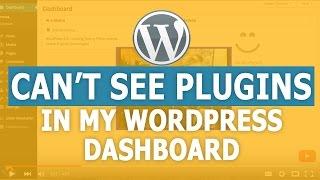  Why Can't I See Plugins in my WordPress Dashboard