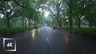 Walking in the Rain, Central Park New York, Binaural Rain Umbrella and Nature Sounds for Sleep