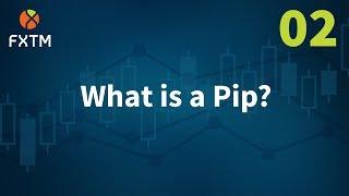 What is a Pip? | FXTM Learn Forex in 60 Seconds
