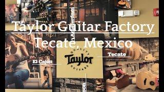 Taylor Guitar Factory   Tecaté, Mexico: Guitar Production