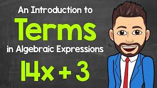 What are Terms in Algebraic Expressions? | An Intro to Terms | Math with Mr. J