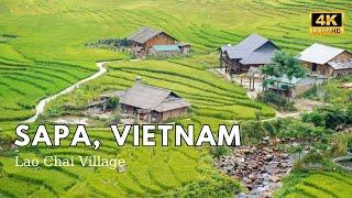 Sapa Vietnam  Walking Tour To Lao Chai Village Most Beautiful Place in Vietnam  4k video 60fps