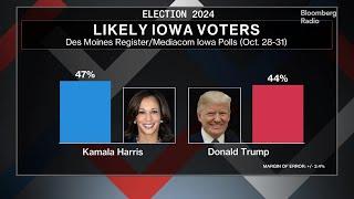 Trump vs Harris: What the Latest Polls Say Ahead of Voting