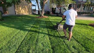 Just Another Evening Mow and Blow