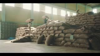 Developing the Ethiopian coffee value chain - the union