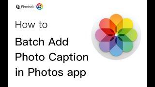 How to Batch Add Photo Caption in photo library?