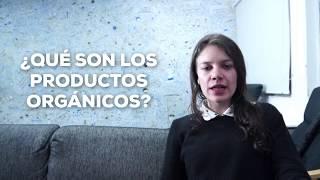 LA IMPORTANCIA DE LOS PRODUCTOS ORGÁNICOS