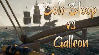 Solo Sloop vs Galleon - Sea of Thieves Gameplay