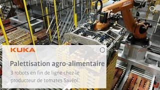 Robotic palletization of tomatoes at Savéol