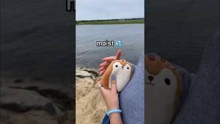 I LEFT MY SQUISHMALLOW AT THE BEACH FOR 48 HOURS! ️ *rip squishy squishmallow*