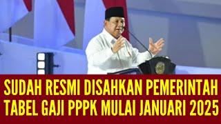 SUDAH DISAHKAN PEMERINTAH TABEL GAJI PPPK SEMUA GOLONGAN 2025!