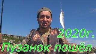 ПУЗАНОК 2020 года пошёл ! Рыбалка на Днепре в Херсоне 2020 на селедку