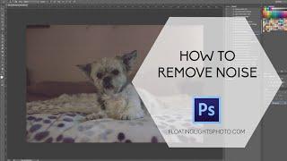 How To Remove Noise From Your Photo