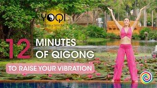 Qigong Flow to Raise Your Vibration