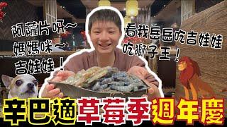 阿薩片呀～媽媽咪～吉娃娃！看我岳岳吃吉娃娃～吃獅子王！歐都不是啦是吃辛巴適啦！草莓季～週年慶～到底讚不讚呢^_^讓我們繼續看下去！