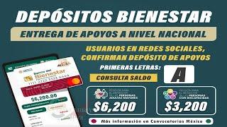 ¡YA EMPEZARON LOS DEPÓSITOS! CONSULTA TU SALDO Y CONFIRMA TU PAGO EN PROGRAMAS BIENESTAR