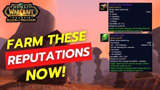 World of warcraft SOD reputation farm phase 2 | preparation for phase 3 and 4