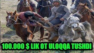 ULOQ-KOʻPKARI DAXSHA 100,000$ LIK OT ULOQQA TUSHDI