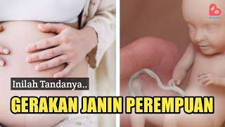 TANDA GERAKAN JANIN PEREMPUAN - APA PERBEDAANNYA?