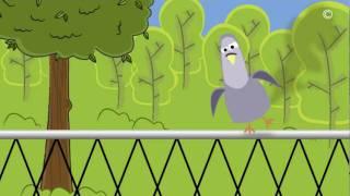 Gary the pigeon_fart.mov