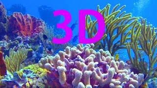 In 3D, The World Beneath The Ocean - A Underwater 3D Channel Film