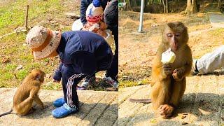 Monkey Kaka enjoys ice cream after a long time away from family