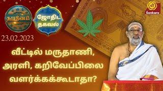 வீட்டில் மருதாணி, அரளி, கறிவேப்பிலை வளர்க்கக்கூடாதா? | Shubhadinam | Hariprasad Sharma #SriSankaraTV