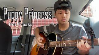 Puppy Princess - Hot Freaks - Cover (Fingerstyle Guitar)