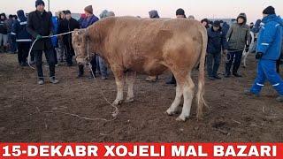 15-ДЕКАБРЬ/ХОЖЕЛИ МАЛ БАЗАРЫ/СКОТНЫЙ РЫНОК/BUQALAR/BIG BULLS IN THE WORLD/BIG COW