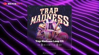 Royalty Free Hip Hop Loops Kit 2024 "Trap Madness" Loop Kit Trap Loops & Hip Hop Samples Pack