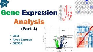 Beginner's Guide to Gene Expression Analysis: Bioinformatics Simplified