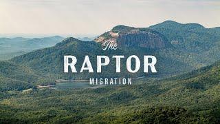 Raptor Migration: Witness a Majestic Migration